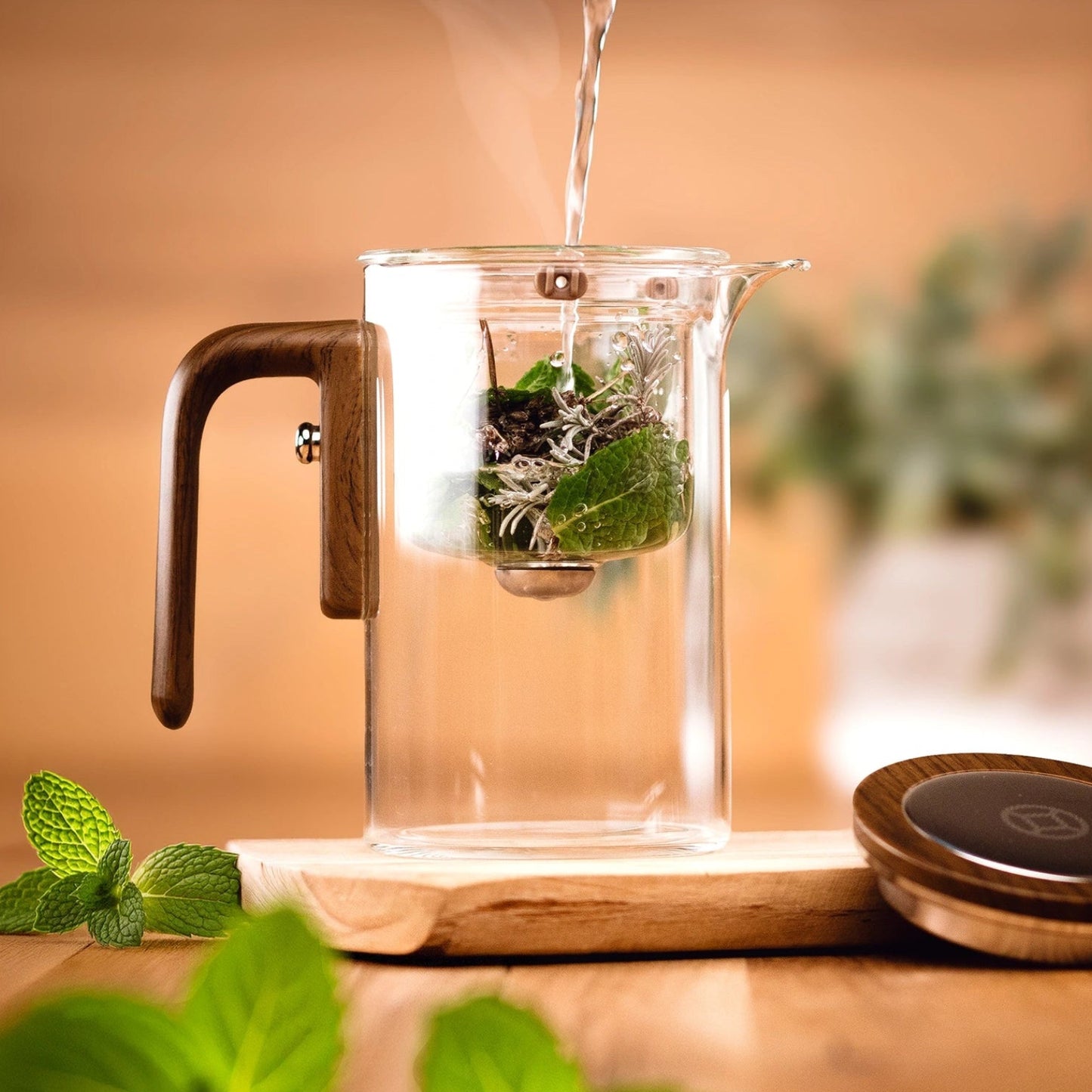 Komplettset inkl. Zubehör & E-Book