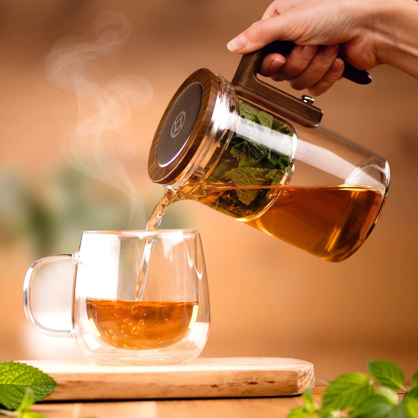 Komplettset inkl. Zubehör & E-Book