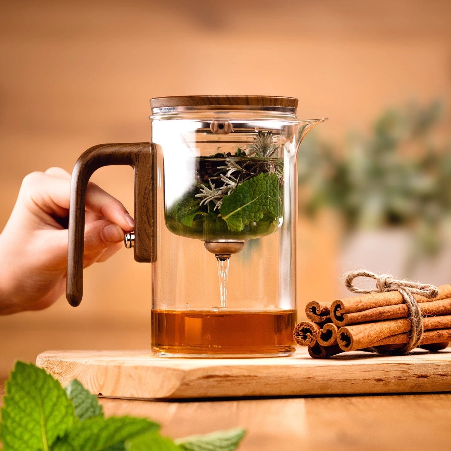 Komplettset inkl. Zubehör & E-Book