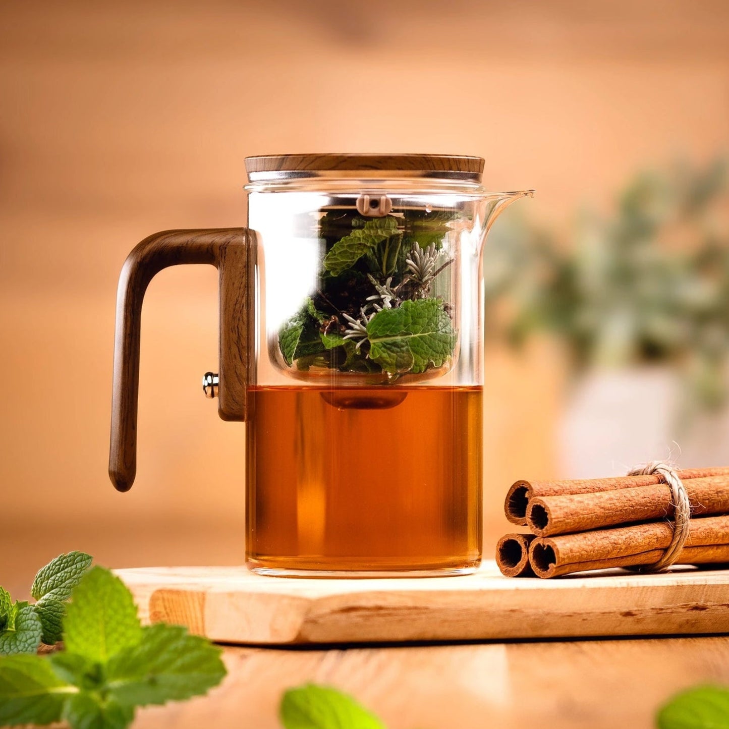 Komplettset inkl. Zubehör & E-Book